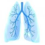 Thoracic Surgery Lung Resections in mohali