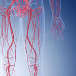 Peripheral Vascular Surgery in mohali
